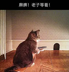 猫捉老鼠的武器升级了