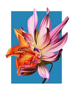 xNFil_嚸嚸采集到BEHANCE