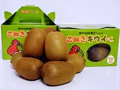 赞岐Kiuikko [香川县的新品种，诞生]赞岐好评水果依次船期[猕猴桃的季节 - 从大约一月中旬