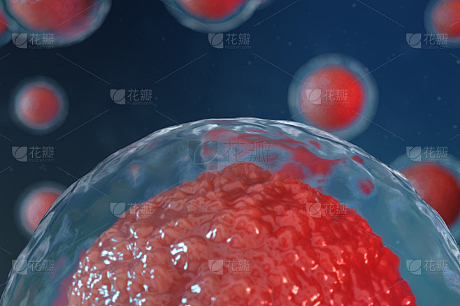 3D插图卵细胞胚胎。中央有红色核的胚细胞。人类或动物的卵细胞。医学科学的概念。在显微镜下在细胞水平上