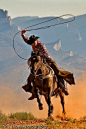 “cowboy on horse with lasso”的图片搜索结果