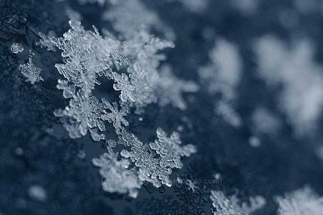 snowflakes