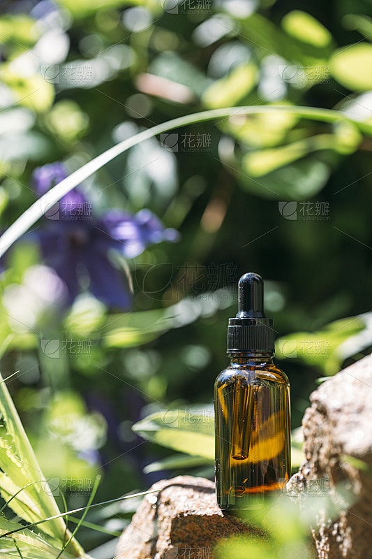 玻璃化妆瓶与面部精华液与移液管在自然背景