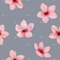 无缝图案手绘水彩樱花，花朵精致。日本的樱花。设计婚礼请柬，面料，包装，纺织品，封面，明信片，纸，贺卡