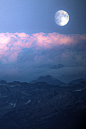 (11) Tumblr