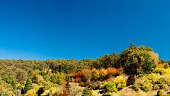 美丽山顶_高清风景桌面壁纸 美丽风光