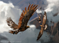 axel-sauerwald-eagles-of-the-north-x-media.jpg (1500×1102)