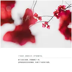 【何处是归程】——小林2011年摄影总结_年度总结_图写我心_视觉日记_数码生存-小林的摄影设计手绘文字