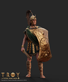 随时一本正经采集到全面战争Total War