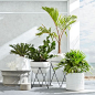 Iris Planter + Chevron Stand | west elm