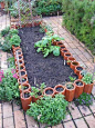 Garden area using terra cotta pipes for border, and planting herbs in those, pretty clever: 