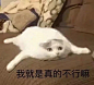 沙雕表情包更新，拿图互动

卡了，我得重启一下
精神恍惚
不好意思，先睡一步
我学不完了
你伤害了我的骄傲...展开全文c