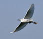 20140105185058_JRSyP
