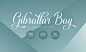 Indulge Script| Free Font on Behance
