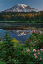 ~~Reflection Lake, Mt. Rainier ~ peaceful sunrise, Washington by Sean Bagshaw~~