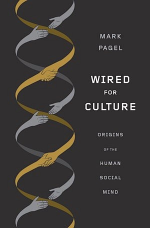 Wired for Culture 设计...