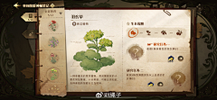 ve1ben采集到游戏界面-----图鉴/成就