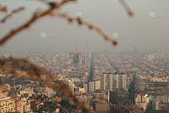 巴塞罗那的城市景观与模糊的树枝在前面。圣家殿在中心。