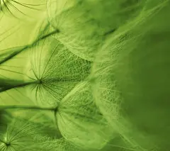 Xperia Z Ultra XL39h官方壁纸下载-中关村在线手机论坛