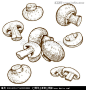 香菇香菇版画插图