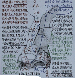 木觉天采集到绘画教程
