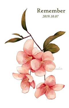 ^ 海棠花。