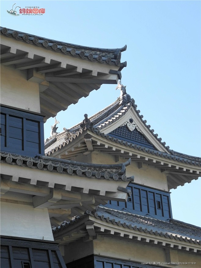 10:55:51中式屋檐图片素材新中式一只有花臂的猫咪同采自mypsd