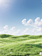 Blue sky, multiple hillsides and grasslands, flowers, natural light, 3D rendering scene, bright colors, high brightness, natural scene