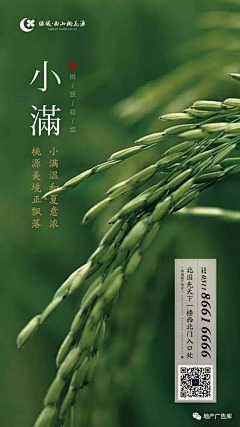 议文采集到小满