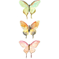 Watercolor Butterfly Print. Nature Decor.