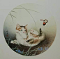 邢诚爱工笔《猫》作品欣赏