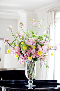 饶阿志=植物墙1花艺软装1花艺培训采集到鲜花花嗡