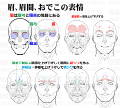 娅娅奥采集到人体结构