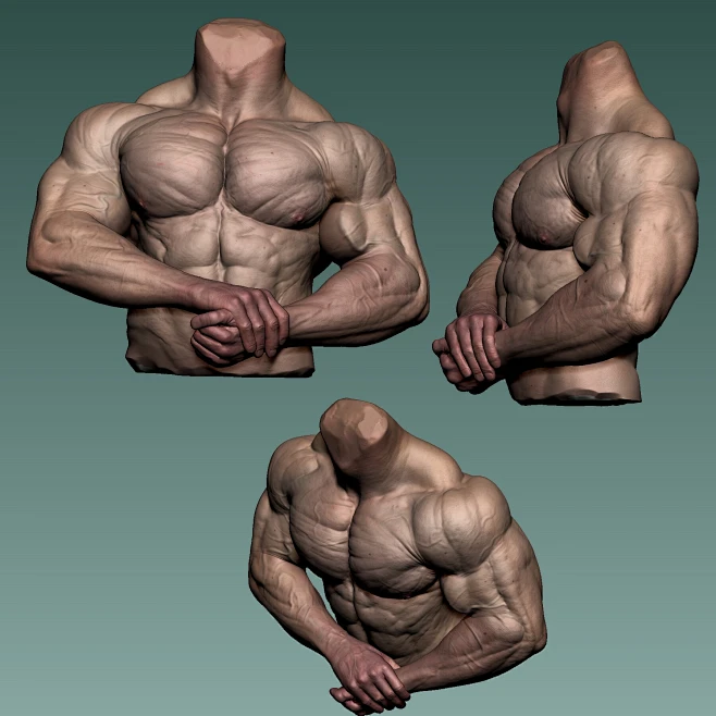 Bodybuilder - Side Chest Pose - Anatomy Study -花瓣网