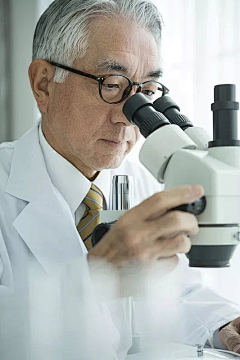 老阿姨养的猪采集到科研参考