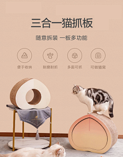 当我喜欢橙色采集到宠物海报