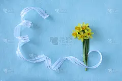 水仙花,花束,缎带,可爱的,周年纪念,贺卡,彩色背景,边框,春天,日本