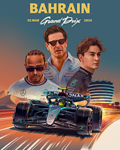 阿楠很忙嘎采集到Formula 1
