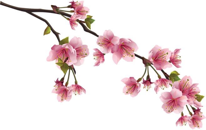 花