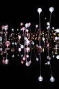 Bruce Munro  Field of Light: 