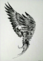 在学习飞的小鹦鹉_涂鸦王国 原创绘画平台 www.poocg.com