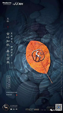 宇文科学采集到地产广告