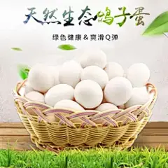 农场散养新鲜鸽子蛋顺丰包邮特产30枚农家杂粮宝宝辅食精选白鸽蛋