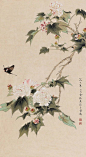 (6) Pinterest
