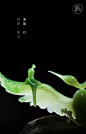 邱启敬