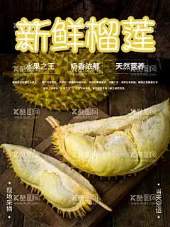 新鲜榴莲  - 源文件下载【酷图网】水果,水果展板,水果海报,水果展架,果园展板,新鲜水果,水果店海报,水果店展架,水果灯箱,水果超市,水果创意,水果广告,果店展架,水果挂画,水果店,创意水果,水果超市海报,水果摊,水果招商,水果店展板,水果图片,水果画册,水果蔬菜,水果包装,有机水果,果园,水果易拉宝,水果背景,