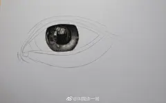 一支笔画眼睛  #手绘插画教程#（作者：@叫我许一哥）
工具：一支炭笔，雪山素描纸，纸笔擦（没有纸笔擦也可以用纸巾或者棉签代替） ​ ​​​​