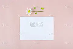 邀请卡模型。模板空白贺卡用于婚礼、生日等活动。纸上桃色背景与白花。写情人节浪漫的概念