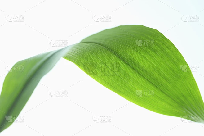 了令人难以置信的素材-花瓣网