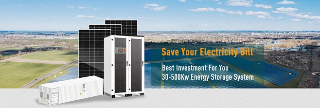 Bluesun Solar Co., L...